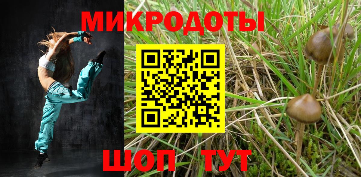 Галлюциногенные грибы GOLDEN TEACHER Ачхой-Мартан