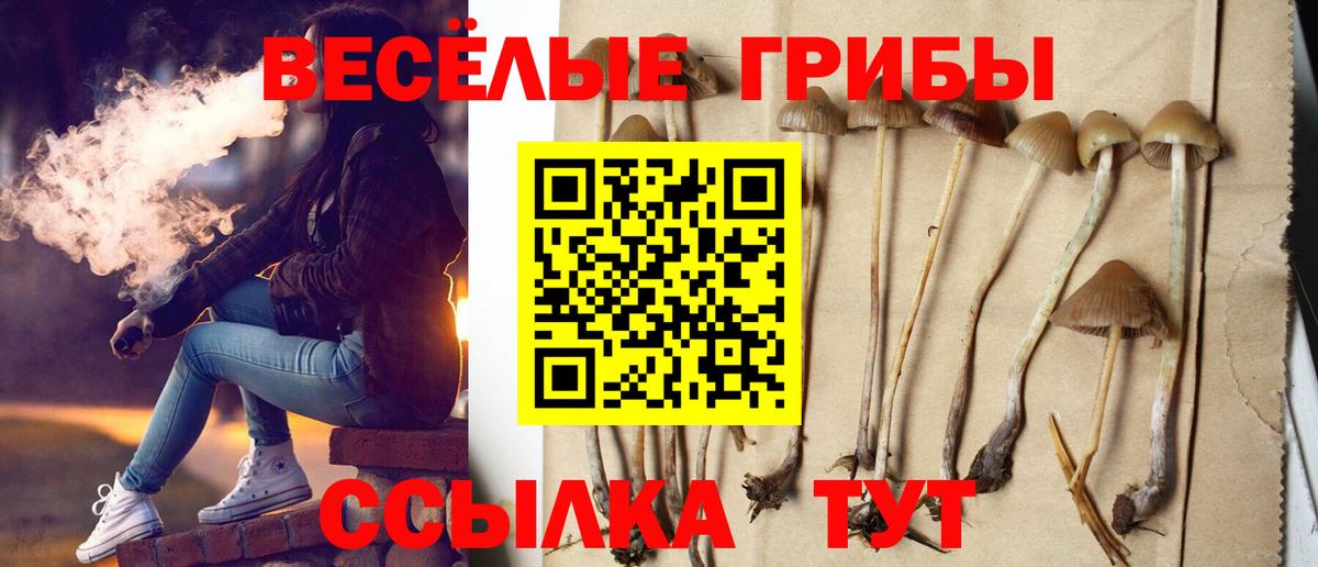 Ачхой-Мартан  Псилоцибиновые грибы GOLDEN TEACHER  Вход с VPN  магазин    Галлюциногенные грибы прущие грибы 